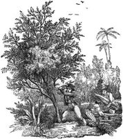 GRAY1116.jpg