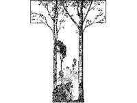 MNSTR144.jpg