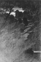 GRAY1120.jpg
