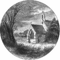 GRAY1118.jpg