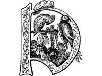 LETTR269.jpg