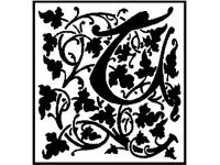LETTR334.jpg