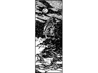 DSGN2430.jpg