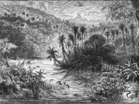 GRAY1146.jpg