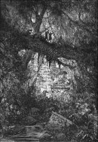 GRAY1145.jpg