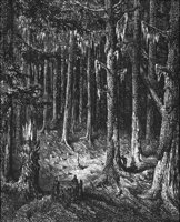 GRAY1140.jpg