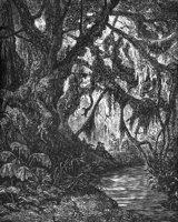 GRAY1137.jpg