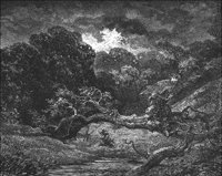 GRAY1135.jpg