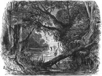 GRAY1127.jpg
