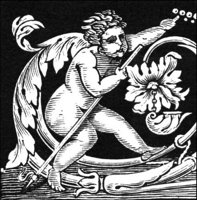 GRAY1159.jpg