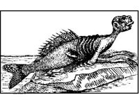 FANT0206.jpg
