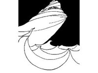 FANT0167.jpg