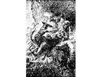FANT0262.jpg