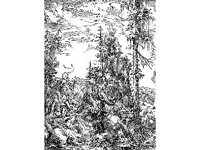 FANT0259.jpg