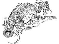 FANT0230.jpg
