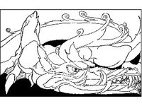 FANT0224.jpg