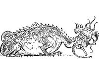 FANT0220.jpg