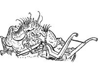 FANT0219.jpg