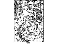 FANT0217.jpg