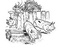 FANT0216.jpg
