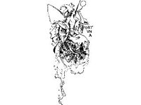 FANT0285.jpg