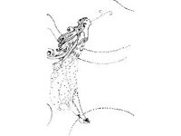 FANT0271.jpg