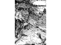 FANT0785.jpg