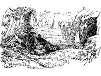 FANT0760.jpg