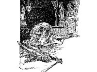 FANT0741.jpg