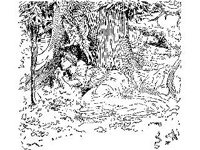 FANT0718.jpg