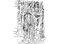 FANT0692.jpg