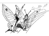 FANT0426.jpg