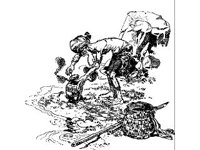FANT0414.jpg