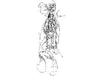 FANT0397.jpg