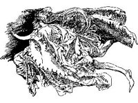 FANT0395.jpg
