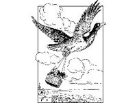 FANT0383.jpg