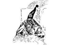 FANT0381.jpg