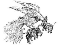 FANT0346.jpg