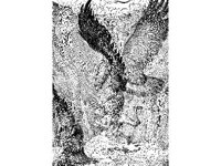 FANT0344.jpg