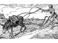 FANT0325.jpg
