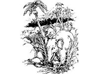 FANT0316.jpg
