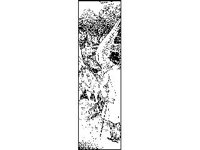 FANT0553.jpg