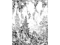 FANT0522.jpg