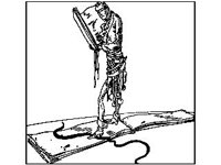 FANT0836.jpg