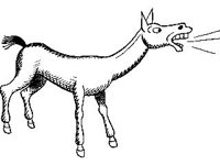 CHLD0593.jpg