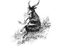 CHLD0588.jpg
