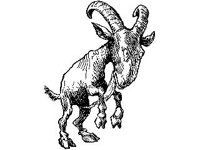 CHLD0578.jpg