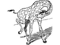 CHLD0568.jpg