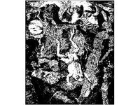 CHLD0549.jpg