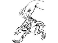 CHLD0541.jpg